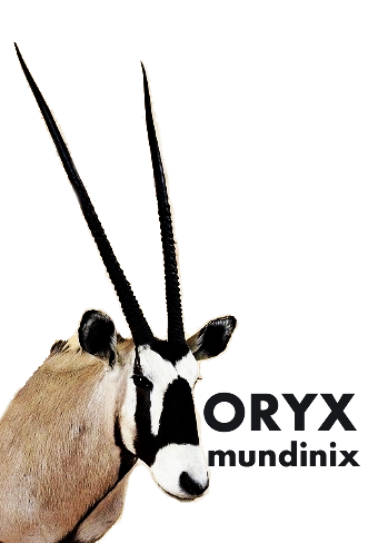 File:Oryx.png